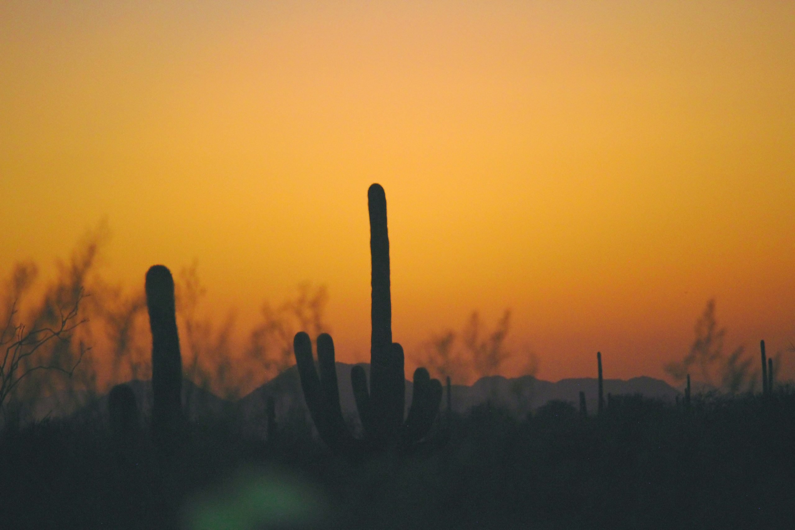 Arizona Phoenix Scottsdale